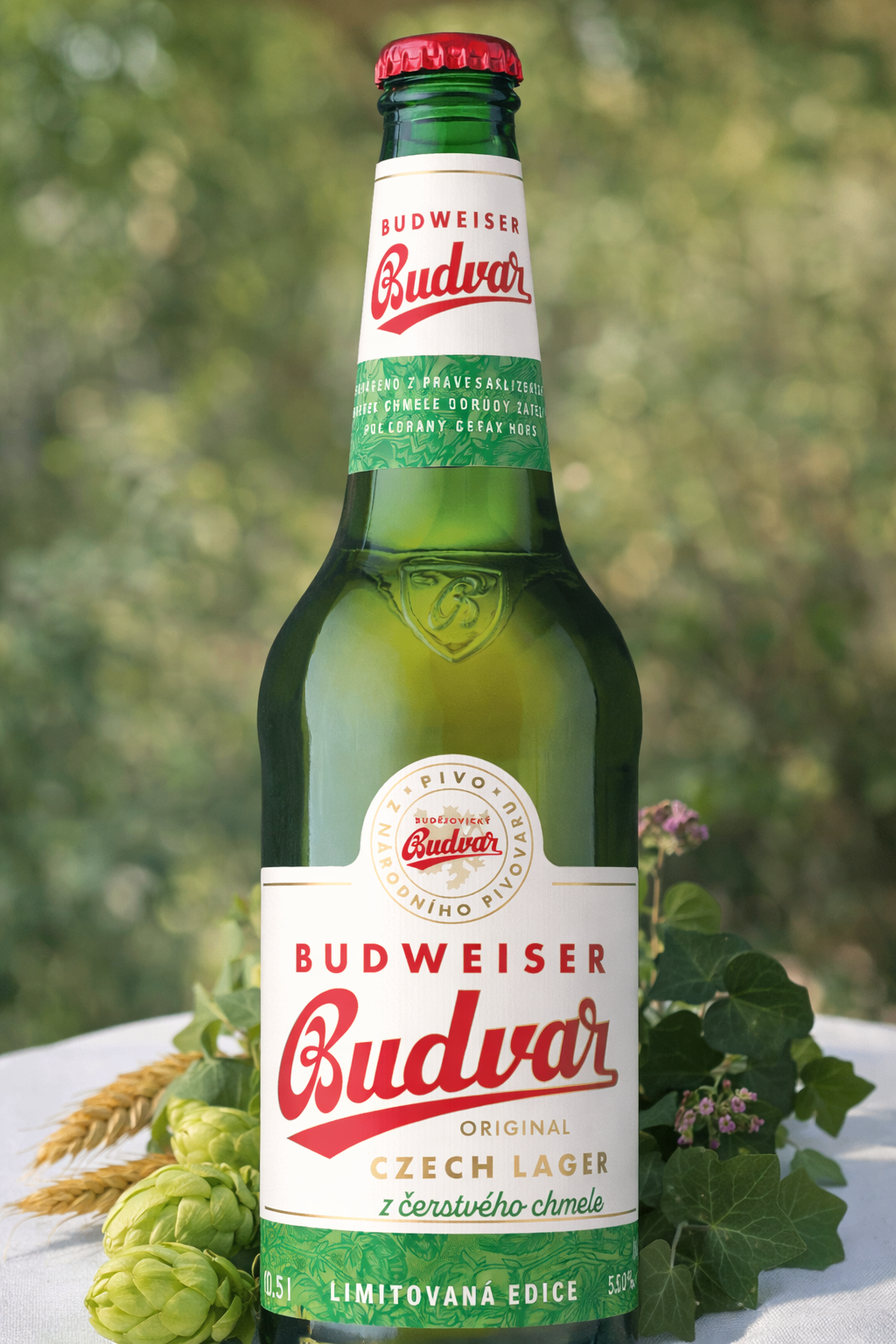 Illustrative Image of Meal